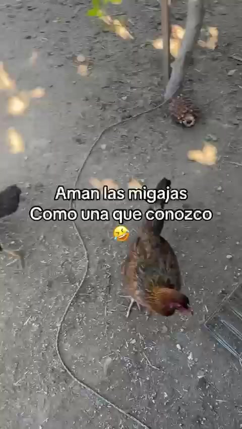 @dari_valencia07