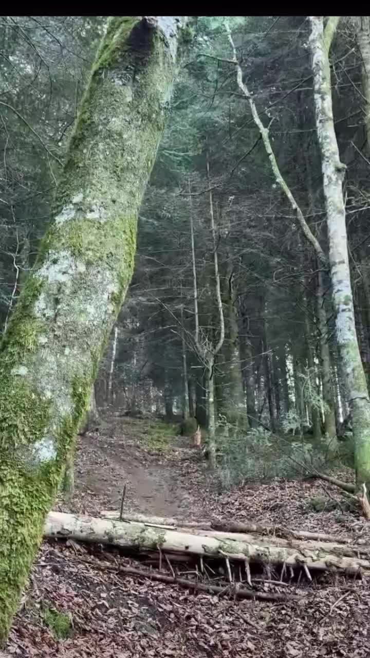 @Unknown_norwegian_mtb_rider