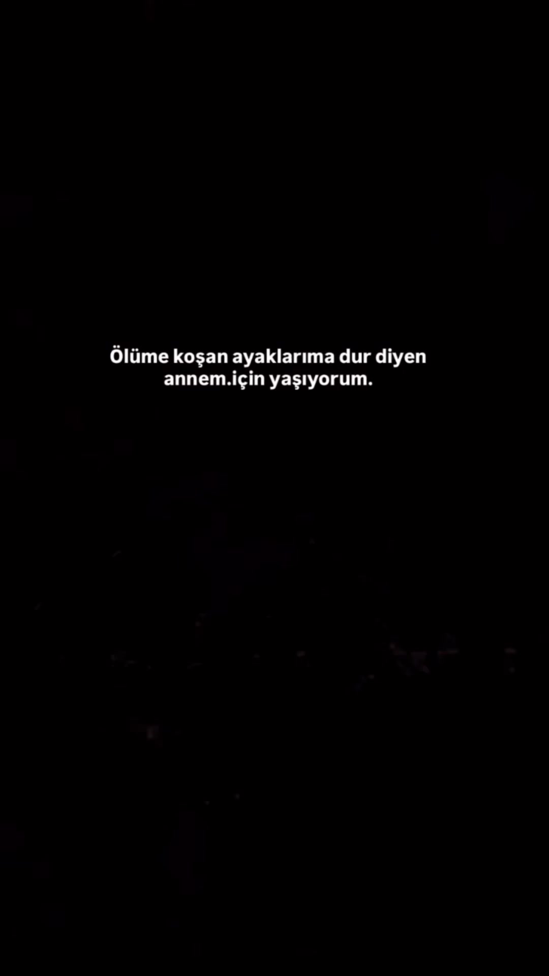 @devrann.73