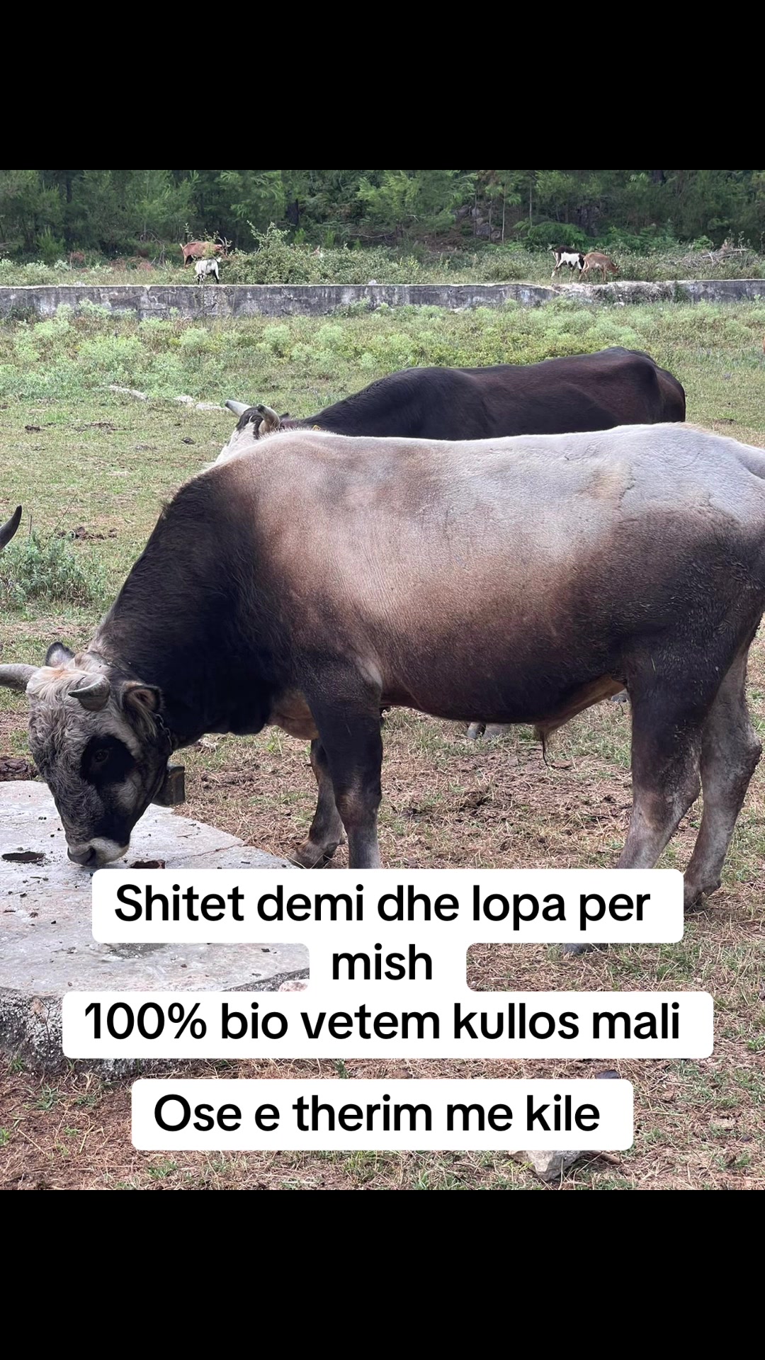 @Mǎł&scaron;&iuml;ǎ_ě_ķř&uuml;jẽş