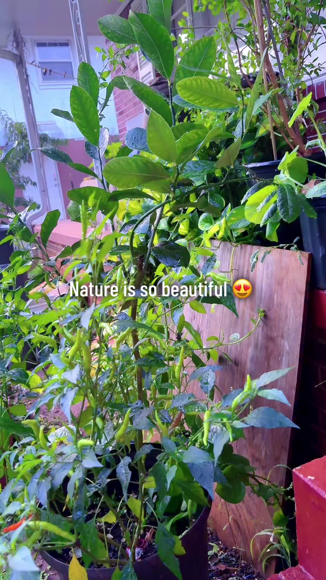 @Mahi❣️