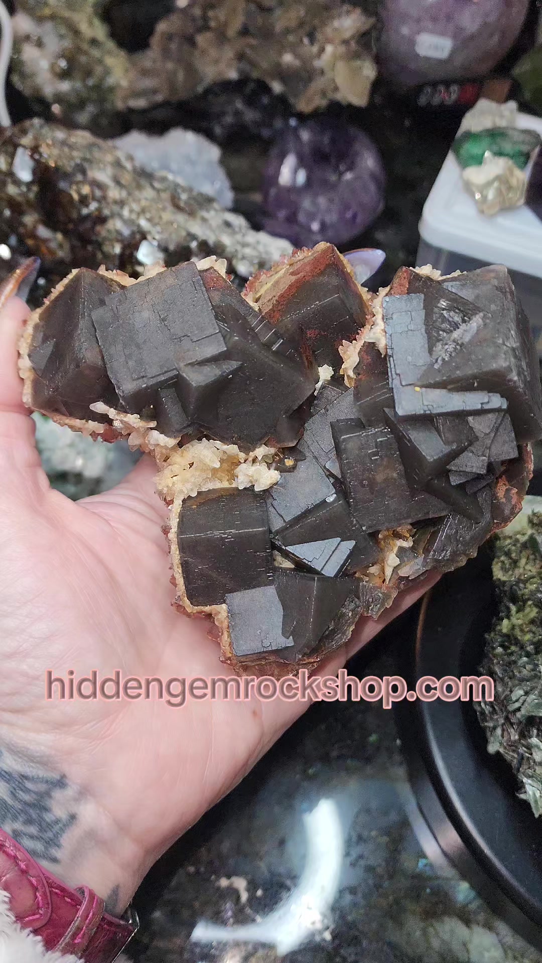 @Hidden Gem Rock Shop & Museum