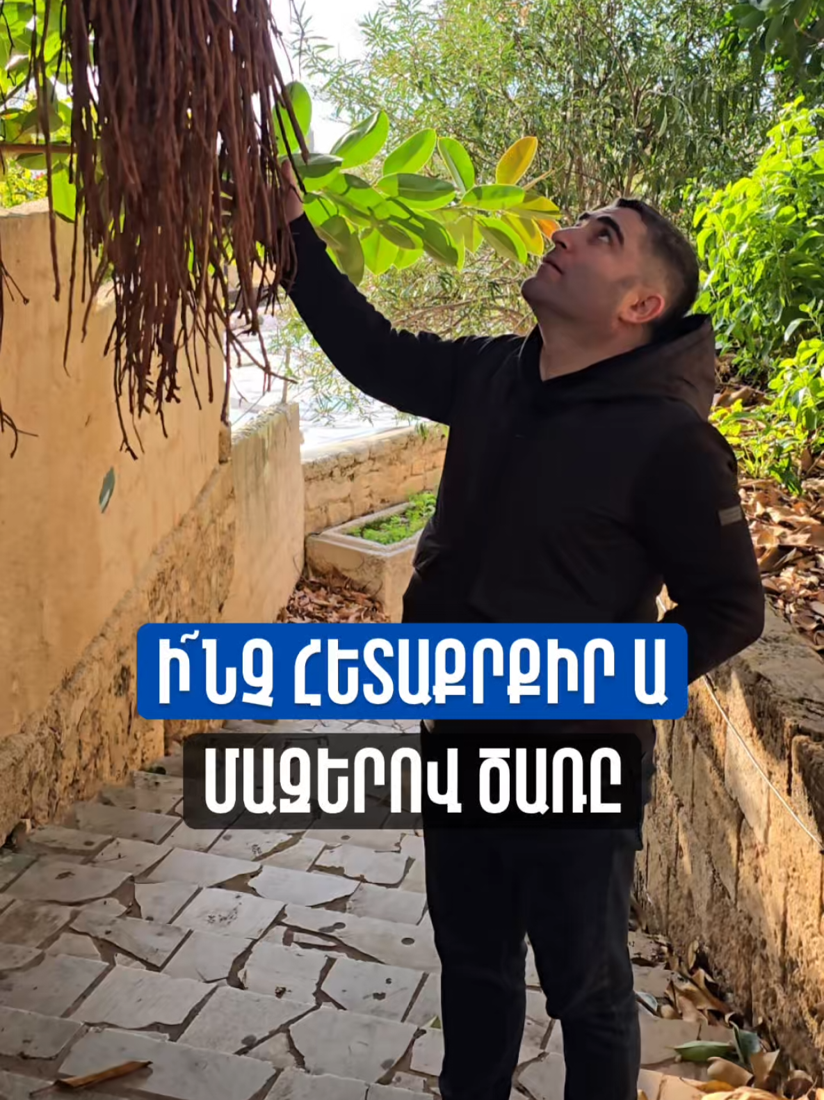 @Sevak Barseghyan
