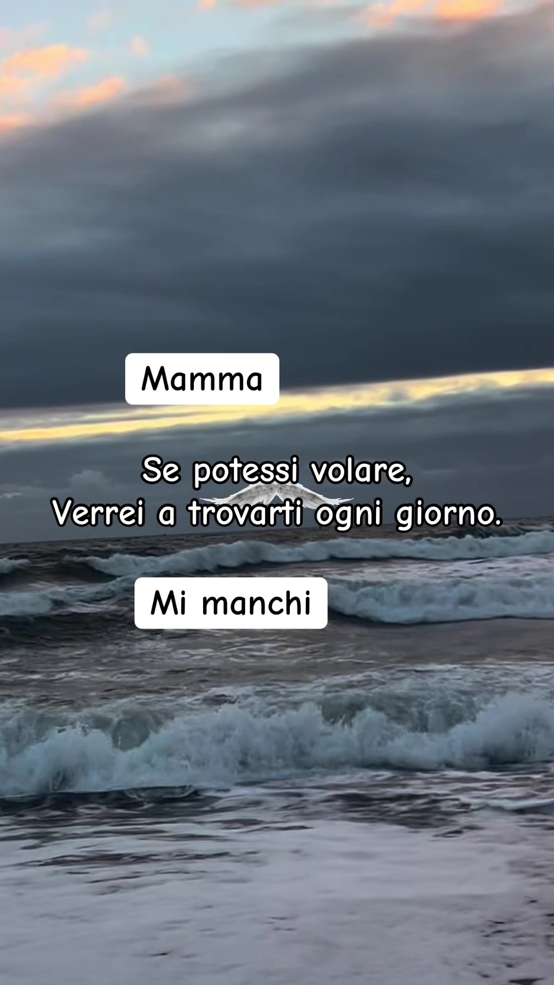 @PRI77