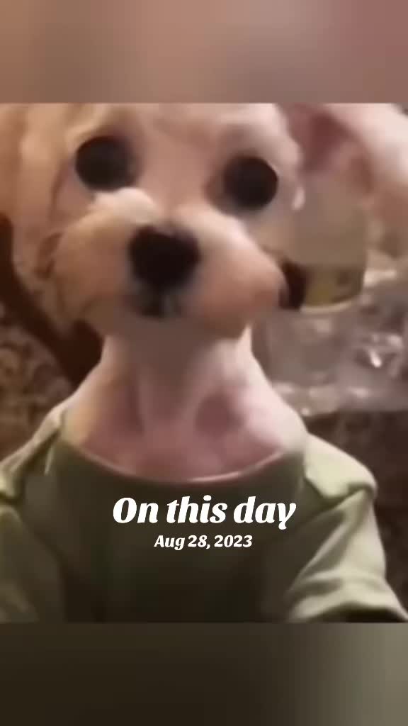 @Chris-k80