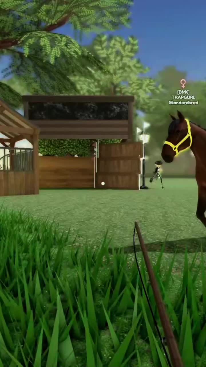 @CAPOMONTANA🥋