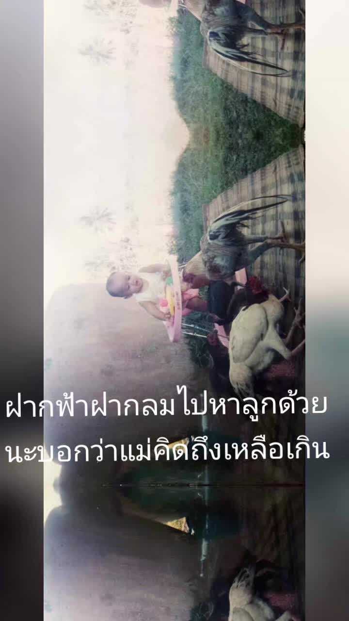 @ทอง