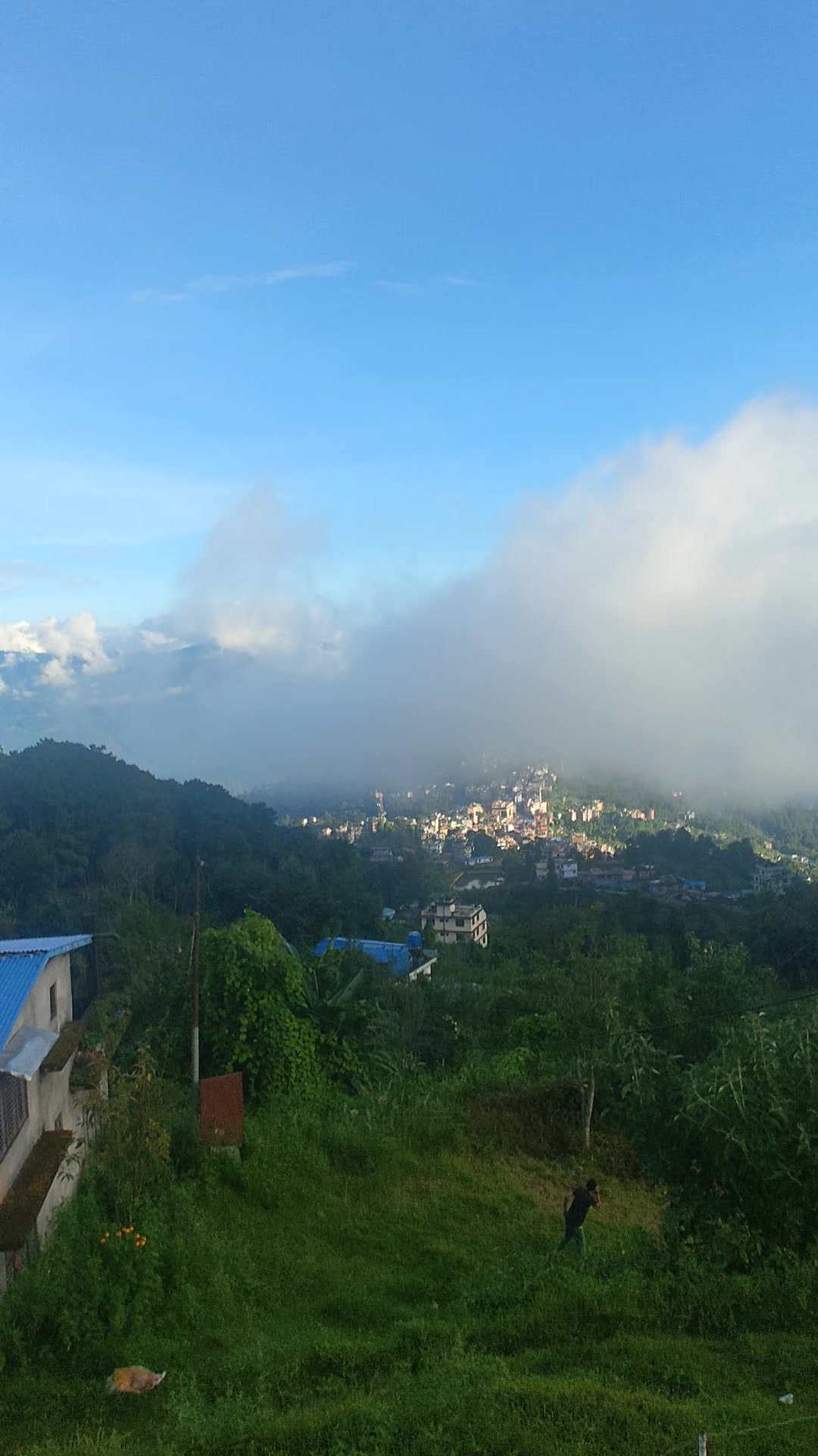 @laxmibasnet2695