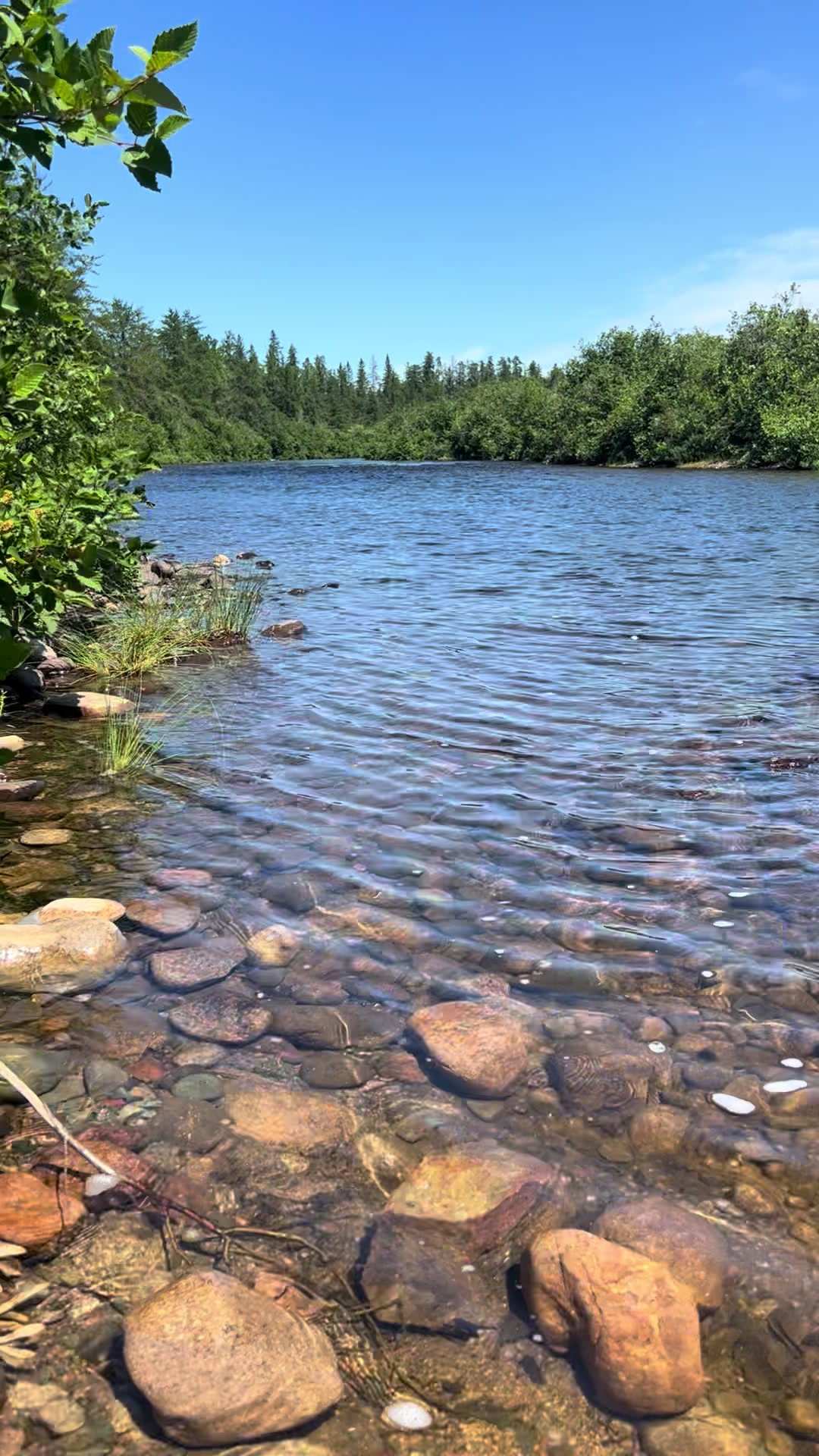 @Bubbles🇨🇦