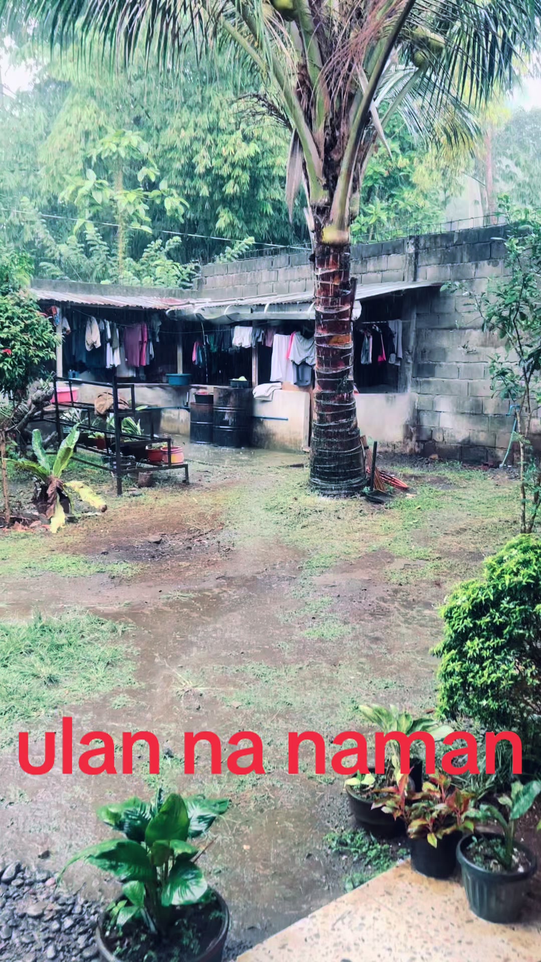 @tajera 1