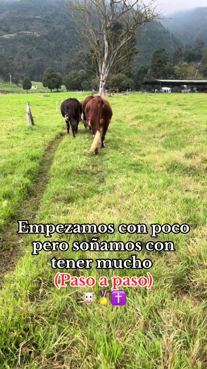 @Ganaderia San Fernando
