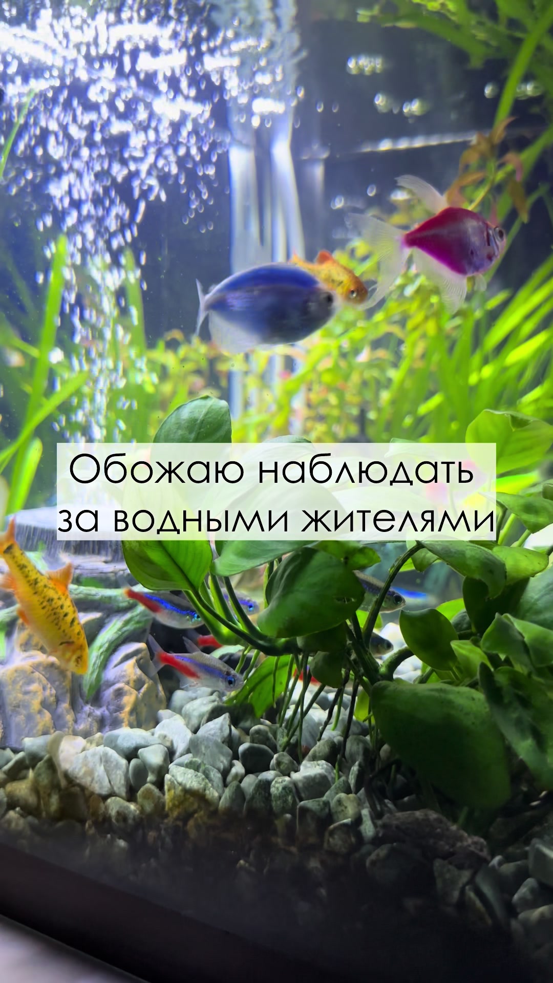 @Тамара