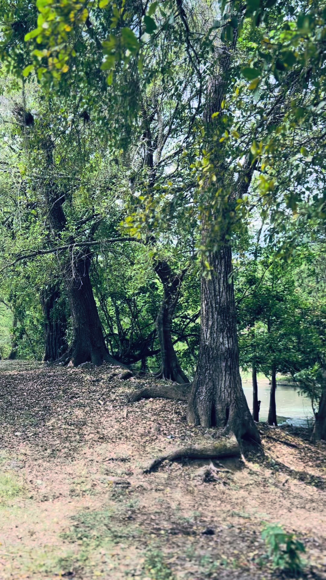 @𝒴𝒶𝓂𝒾𝒾𝒾𝓈