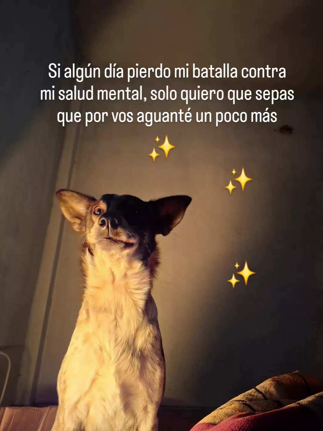 @🧡malel
