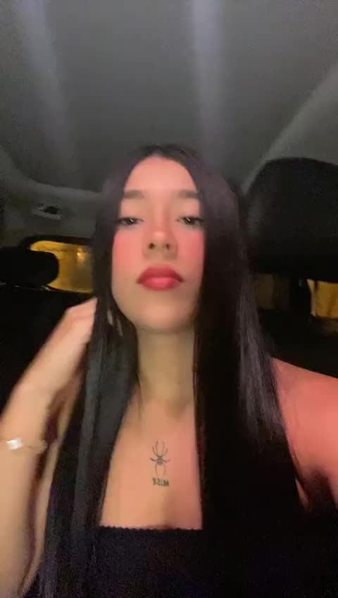 @Steisy