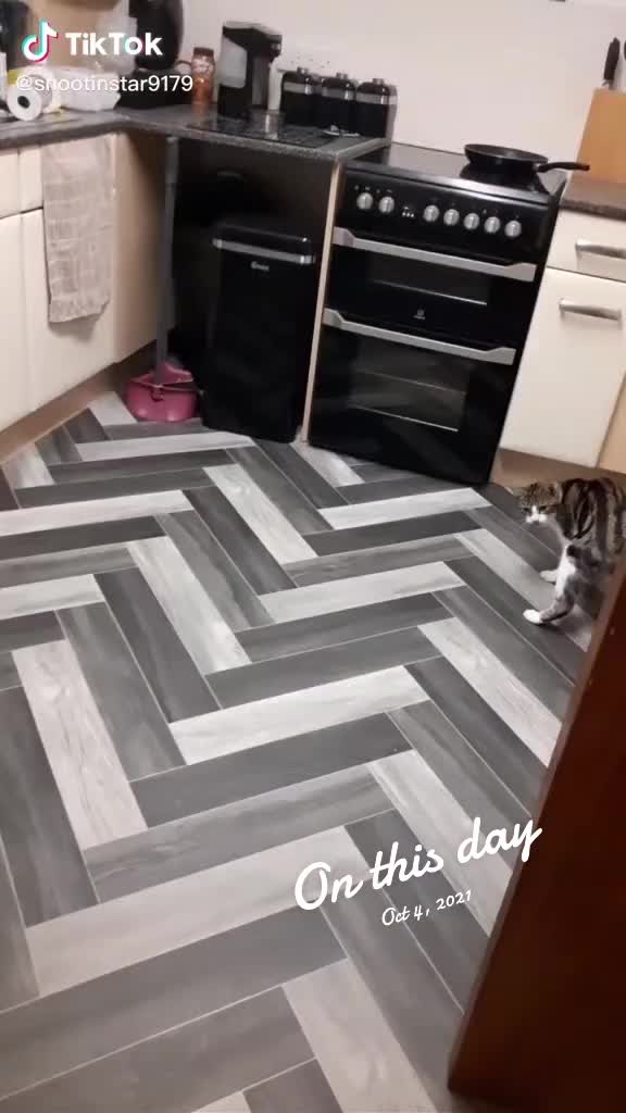 @DDay7991
