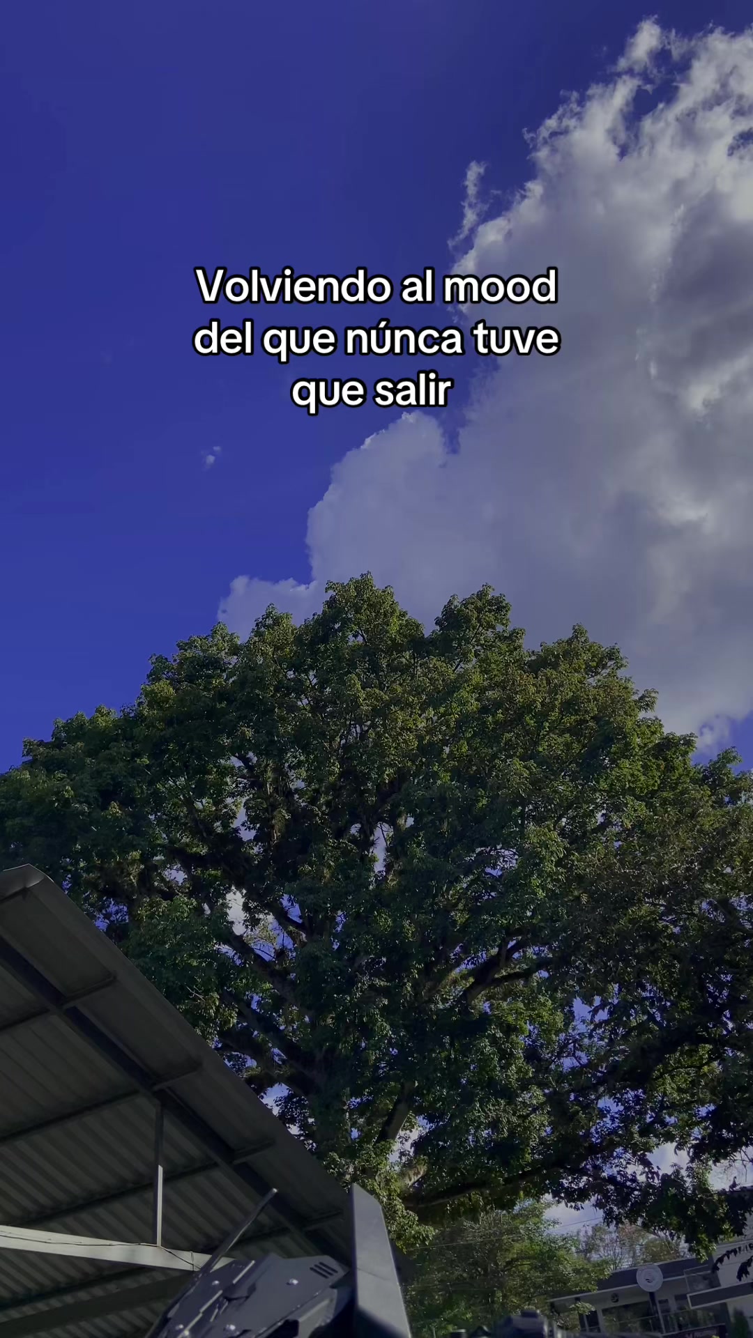 @Chiki_loco