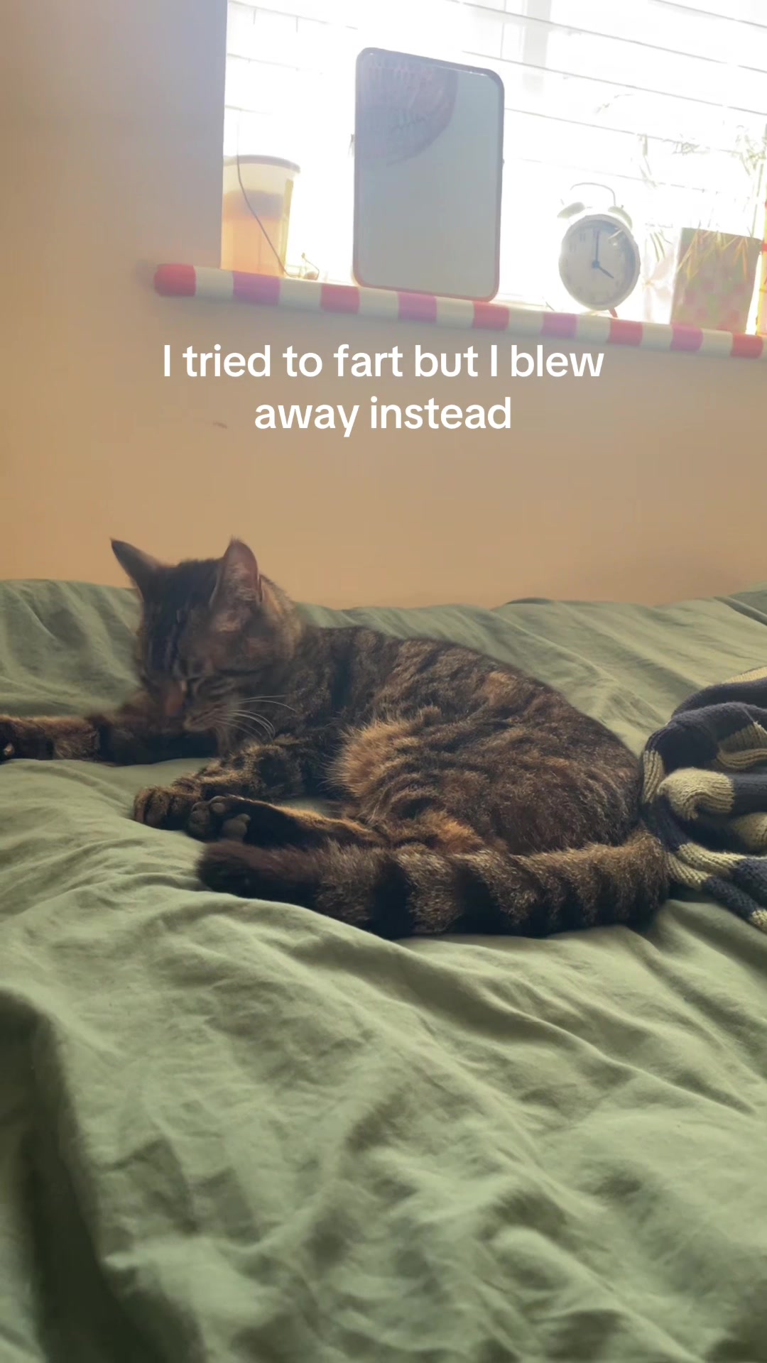 @lanaaa
