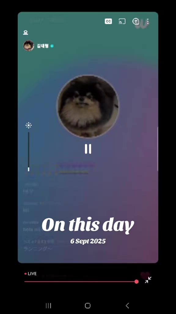 @MariaArmy1172💚💜