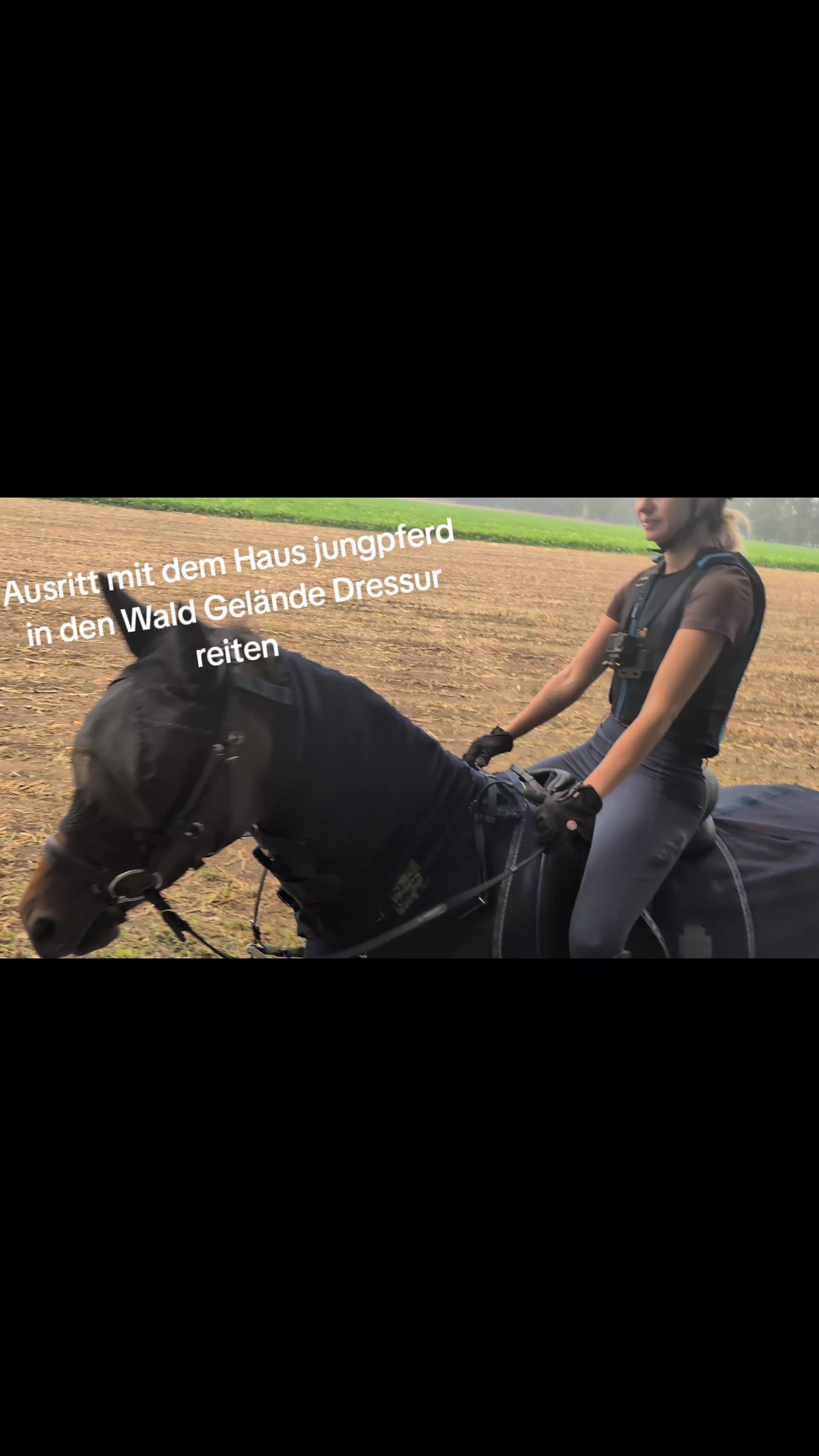 @Steffis_horse_world