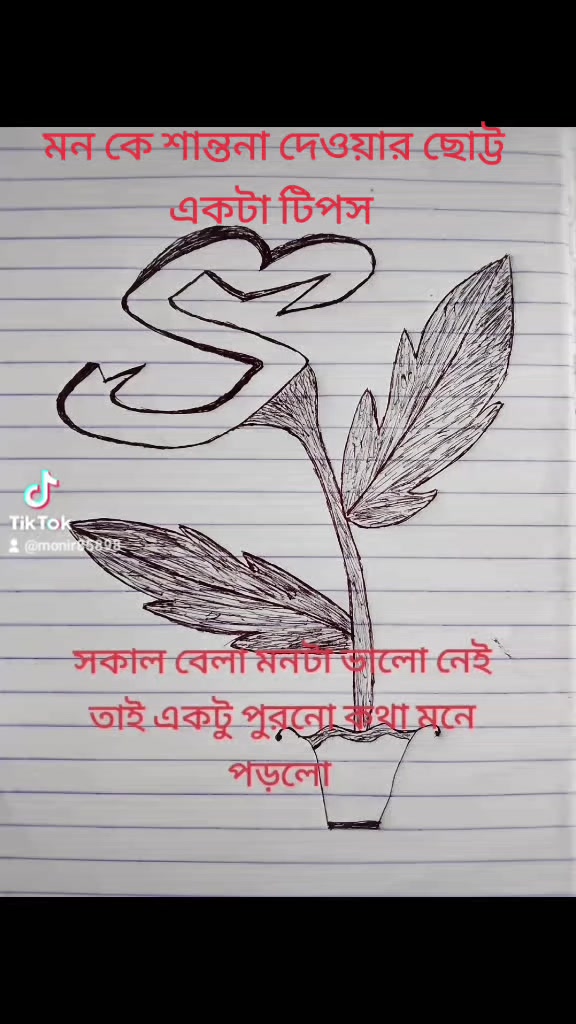 @monir