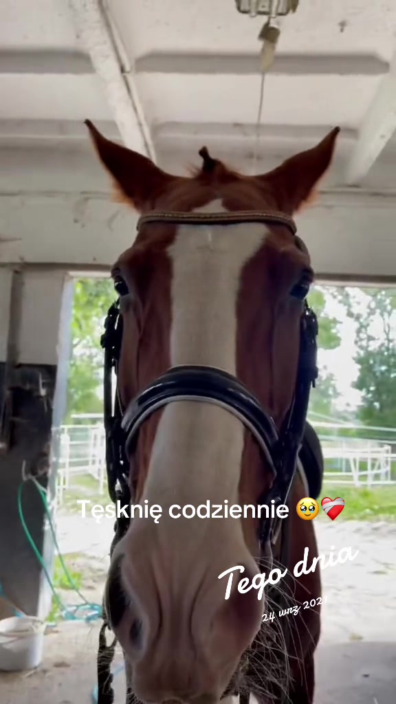 @Jagoda Dąbrowska