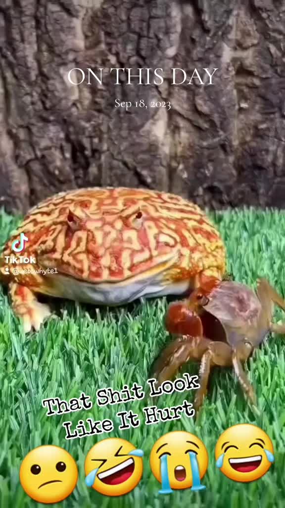 @Just ๐ธ๏ธ