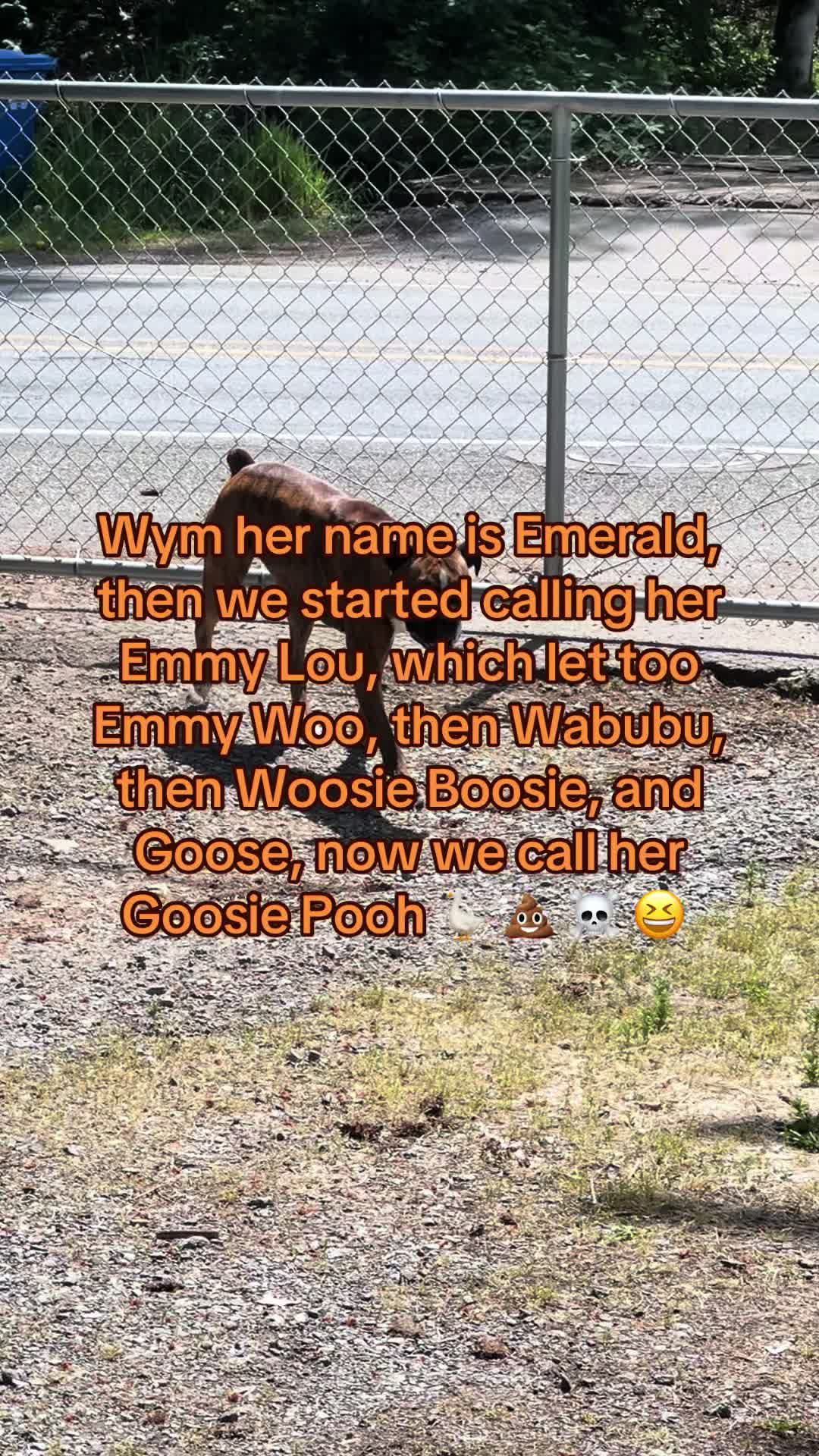 @michellenicole1990