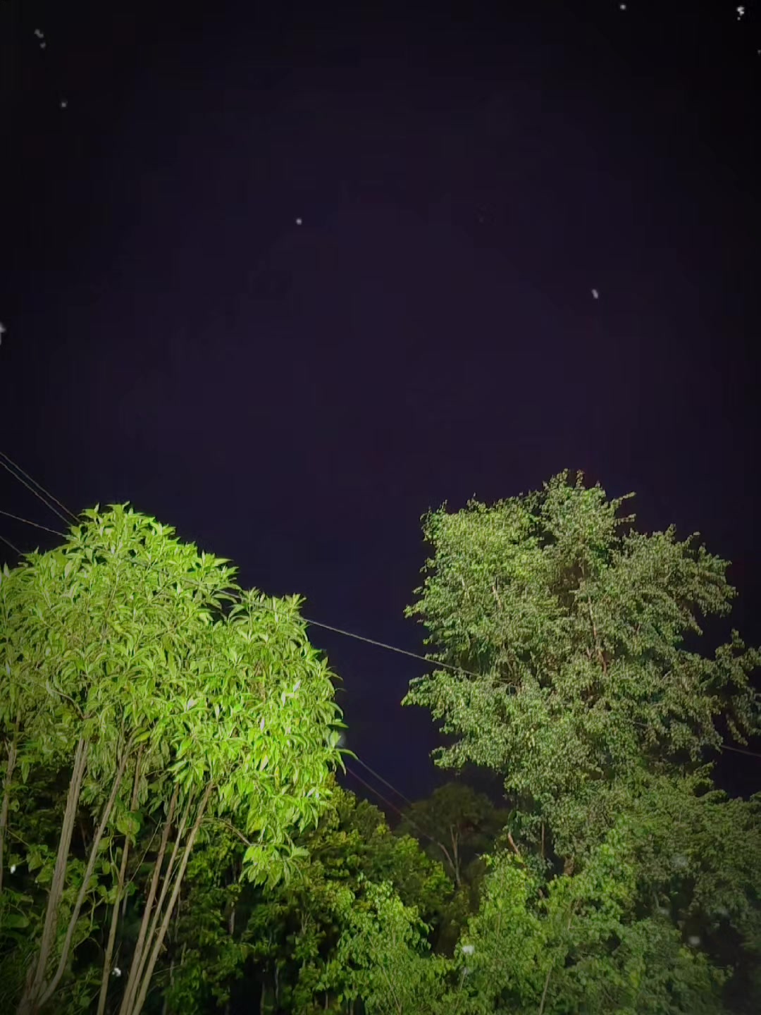 @𝐌𝐬 𝐄𝐝𝐢𝐭𝐳