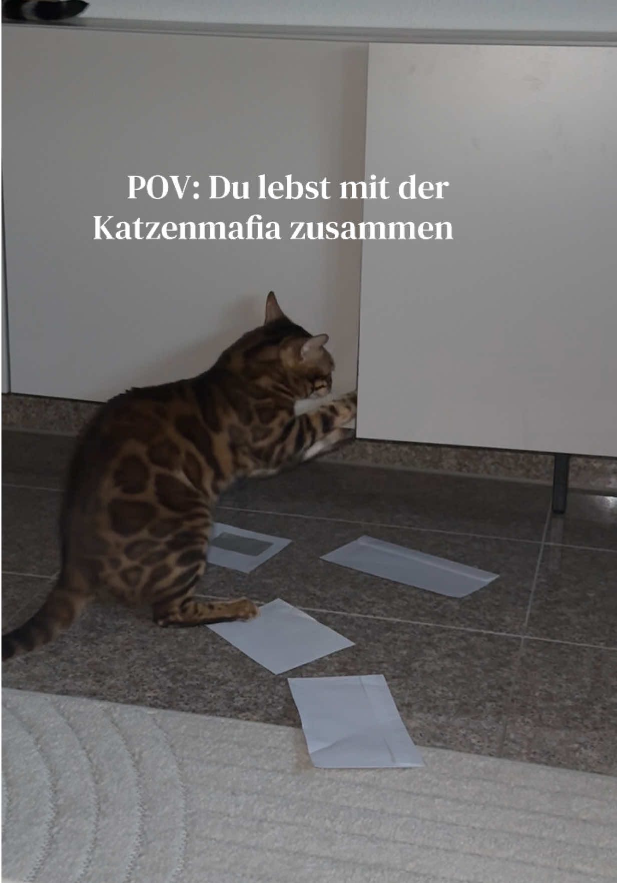 @ALINA 🐆🤎