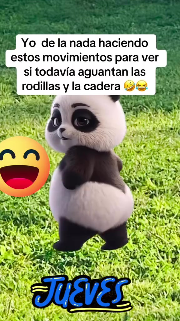 @Lulu Gomez