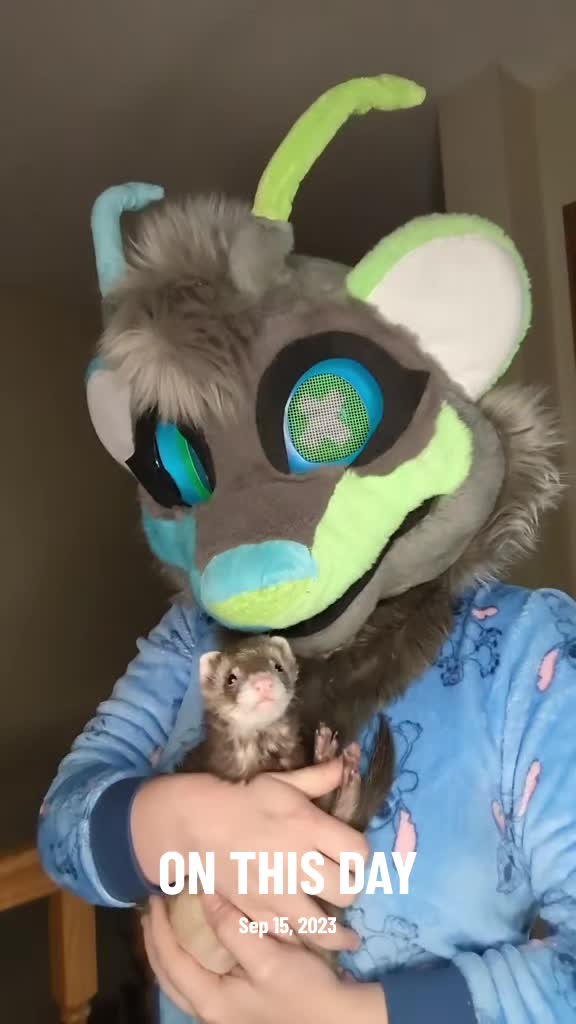 @Nexa Ferret