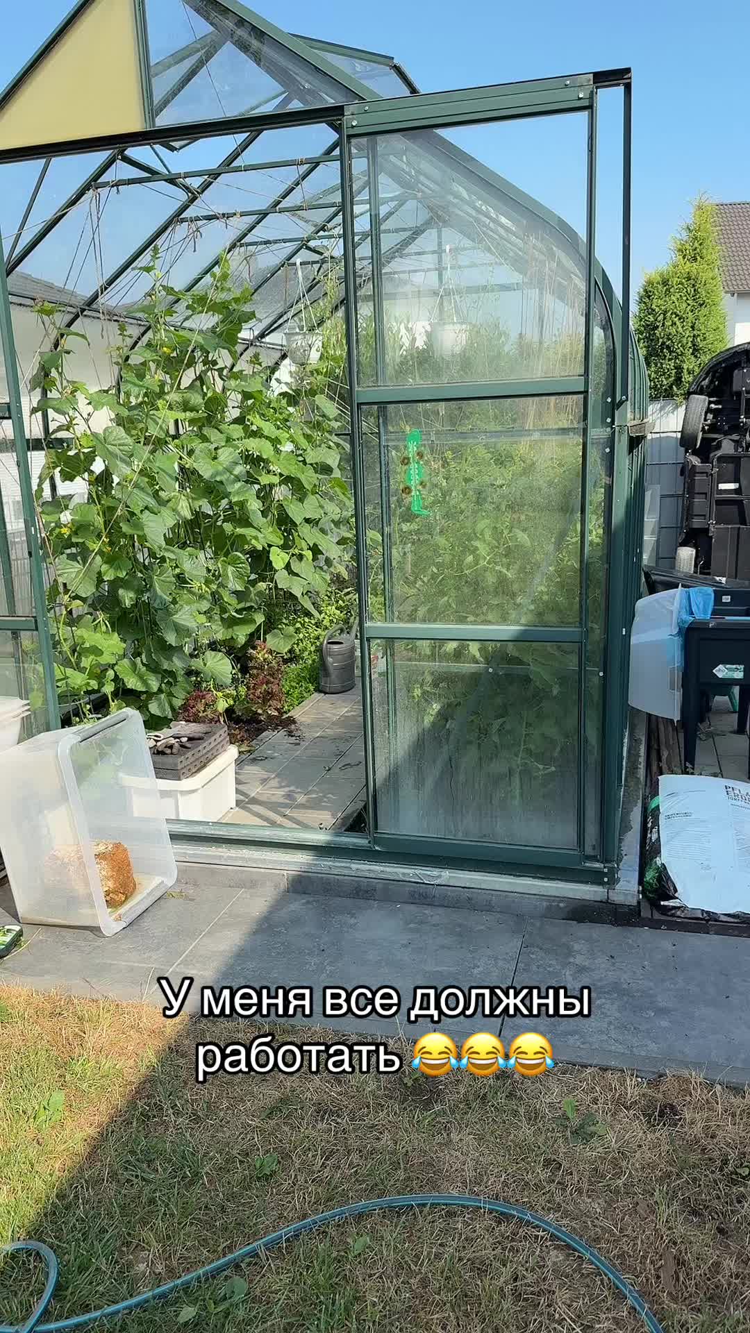 @Lanya Aliens 43J 🥰