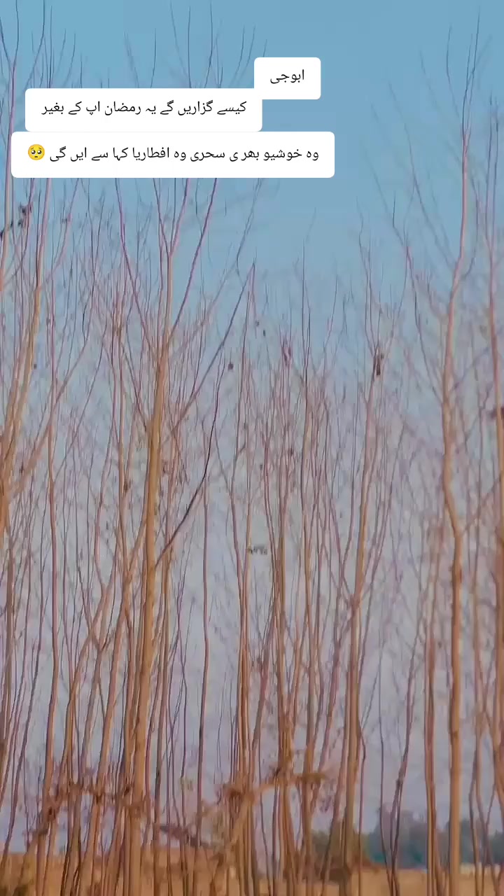 @—̳͟͞͞💗 𝗦𝗵𝗮𝗵_𝗚::