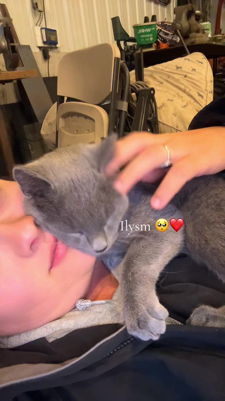 @Taylorrose