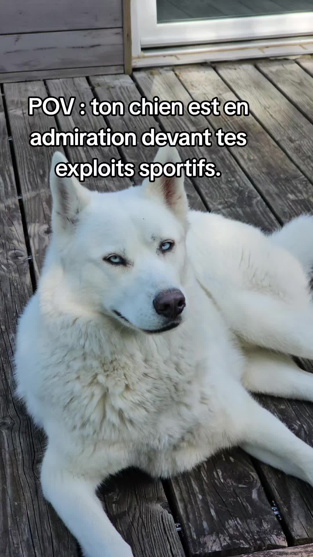 @Neïko Neïko