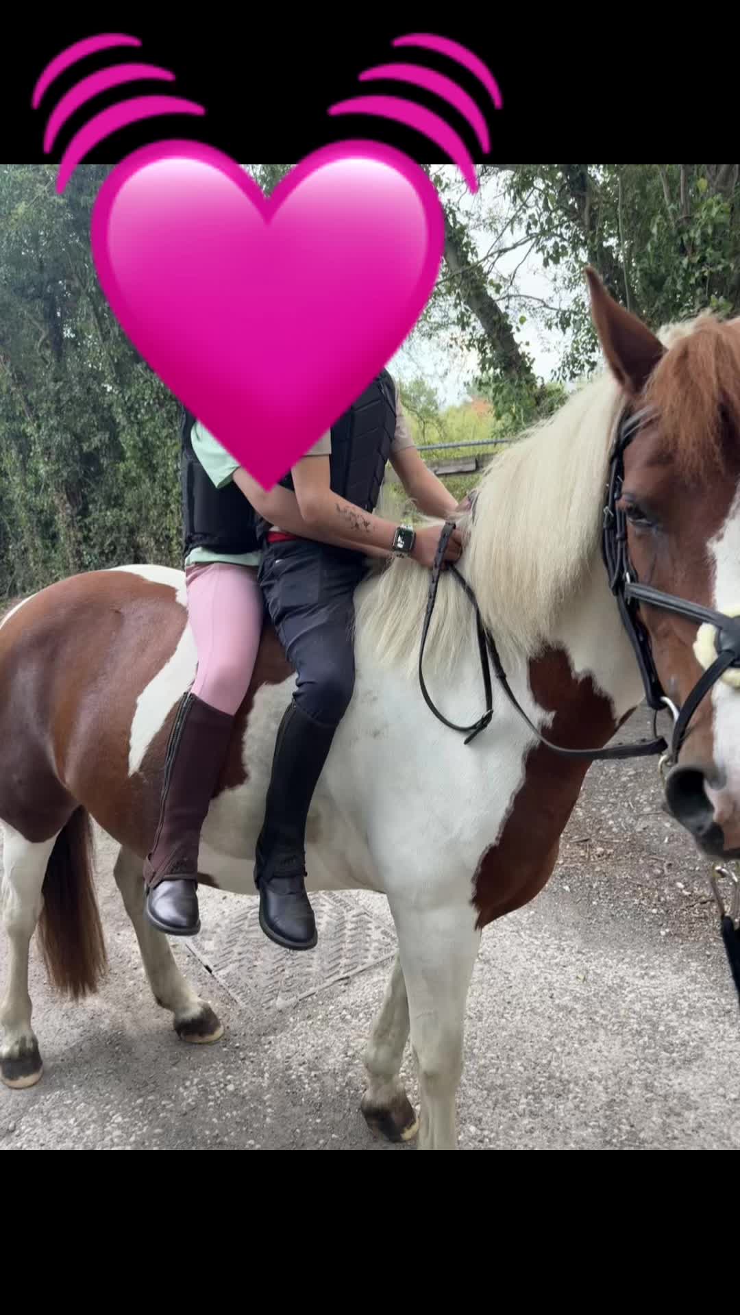 @LottiesHorseAdventures🦄🐴