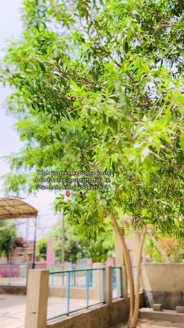 @🇵🇰 Mir Albaloushi 🇮🇷