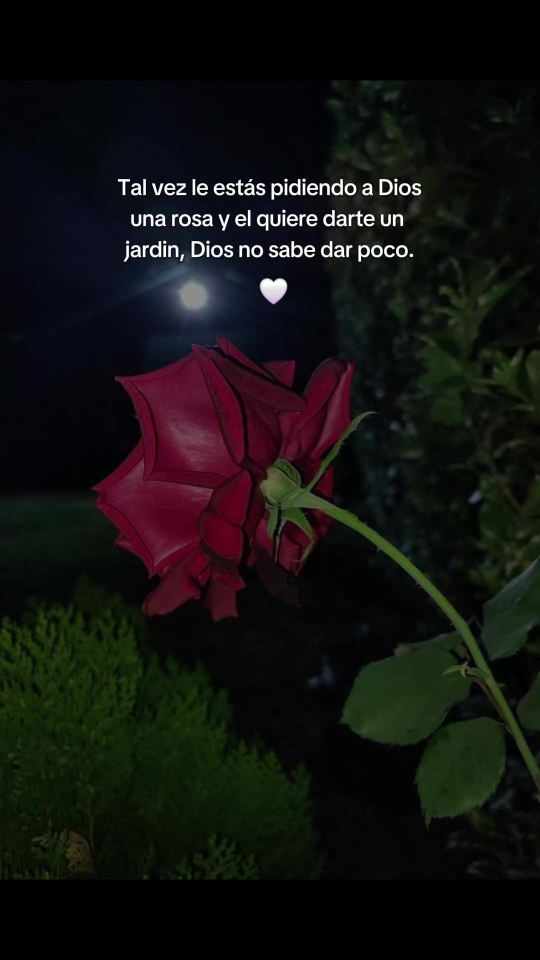 @mily 🌻