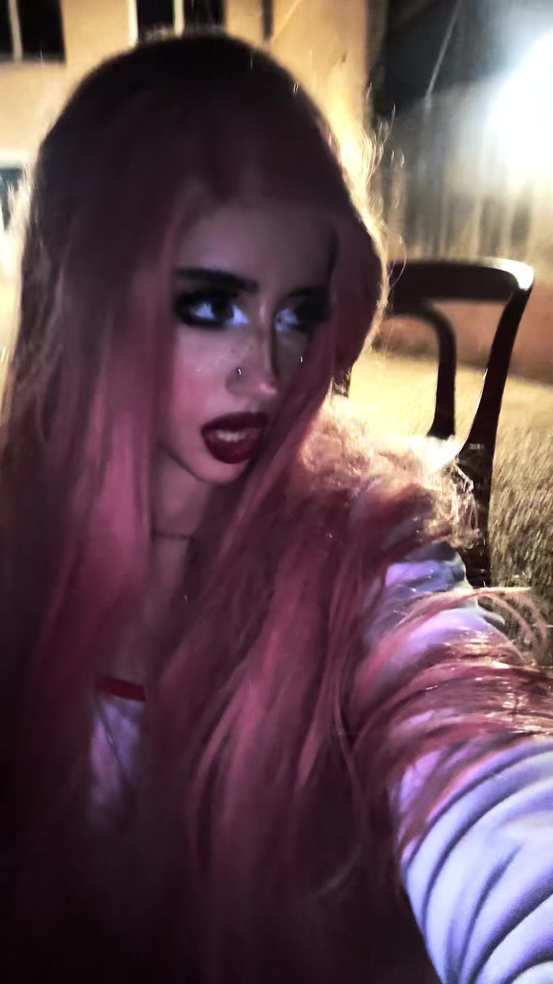 @chatdinosaure