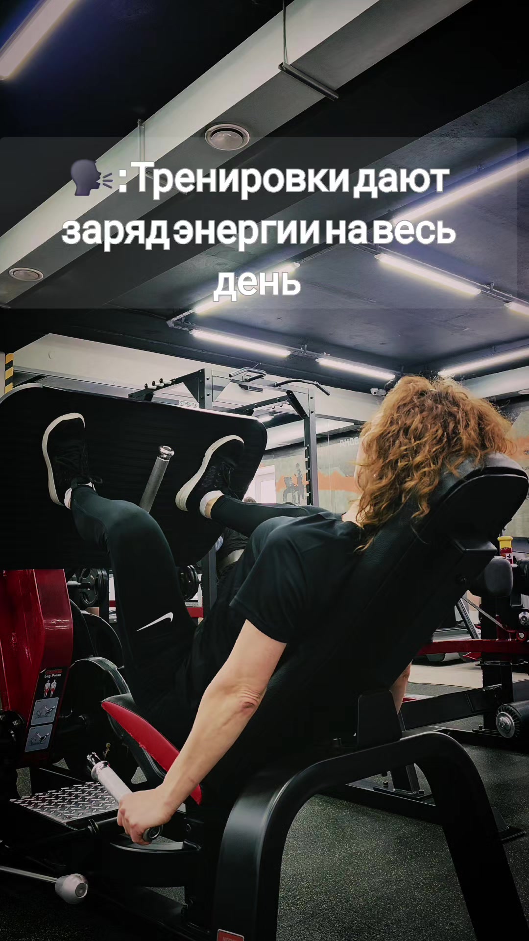@elenchik84