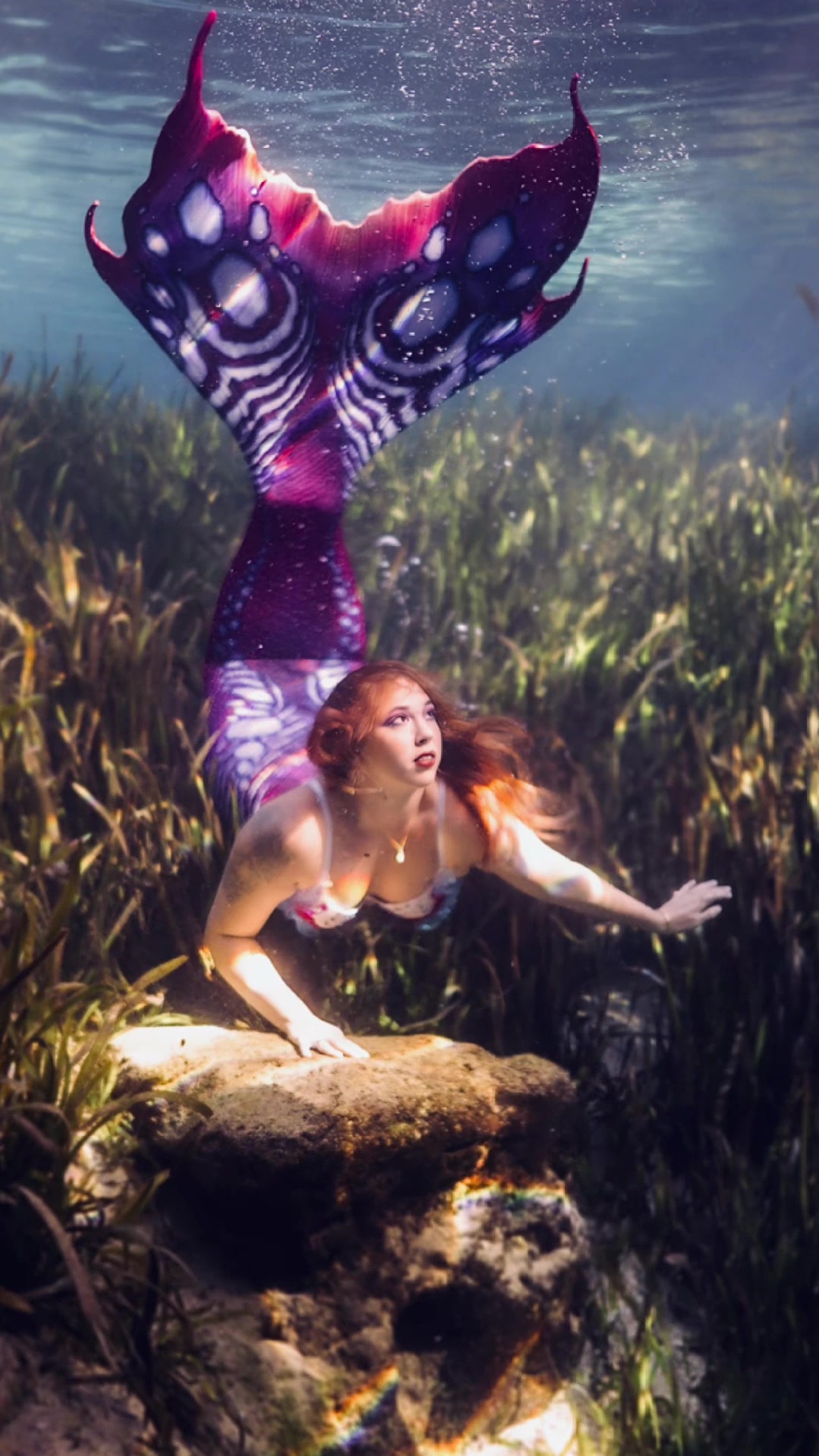 @Muse the Mermaid