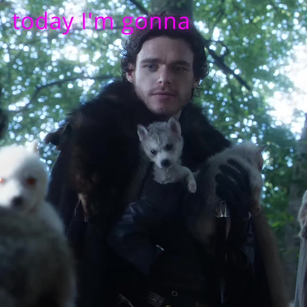 @Ser Azor