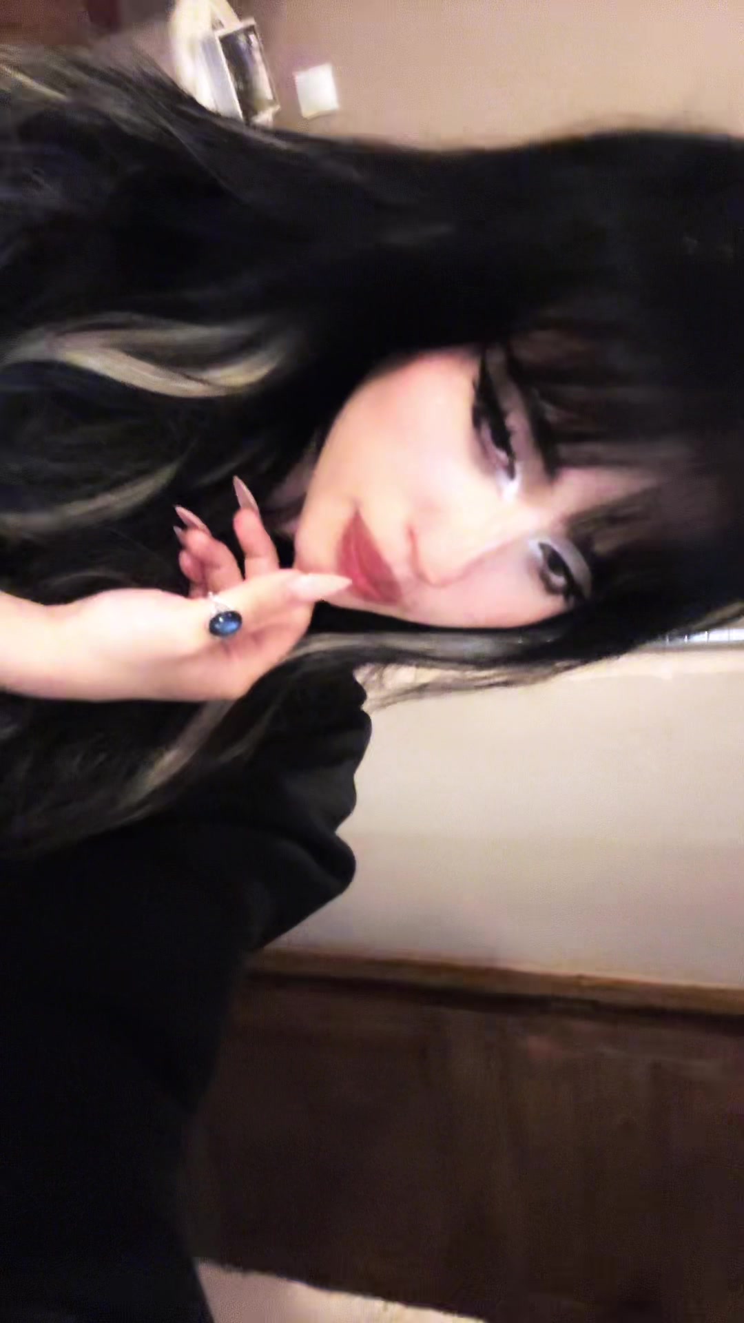 @chatdinosaure