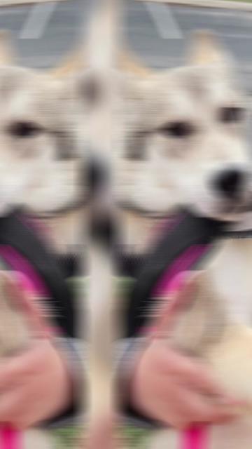 @๐ฝ๐๐ฎ Legendary Latina ๐ฎ๐๐ฝ
