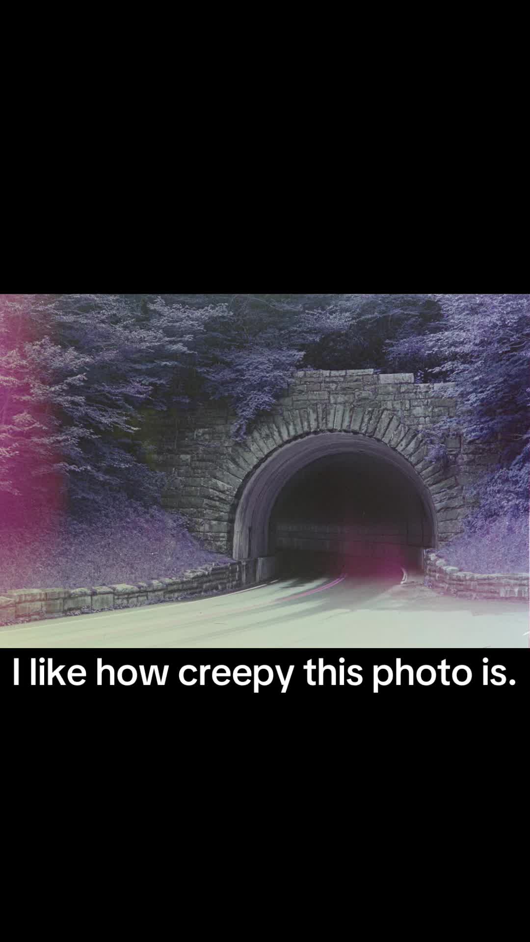 @ThisPaperLife