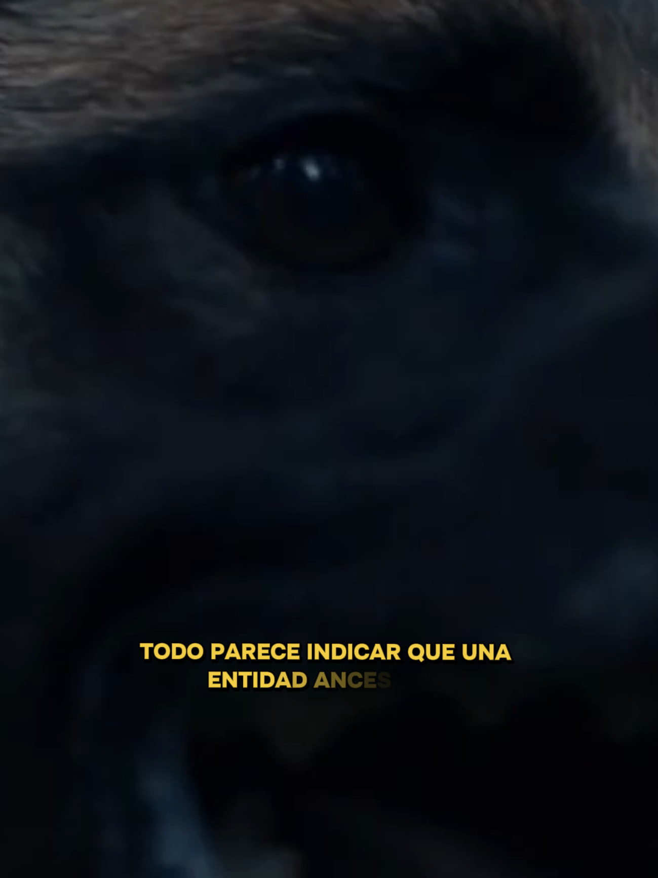 @BichoCatorce