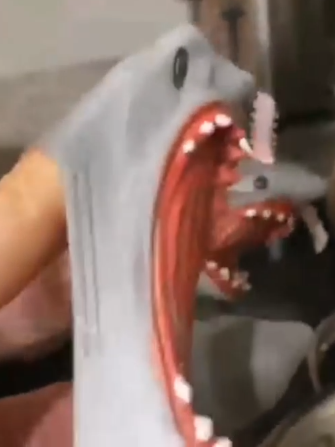 @shark puppet cheese