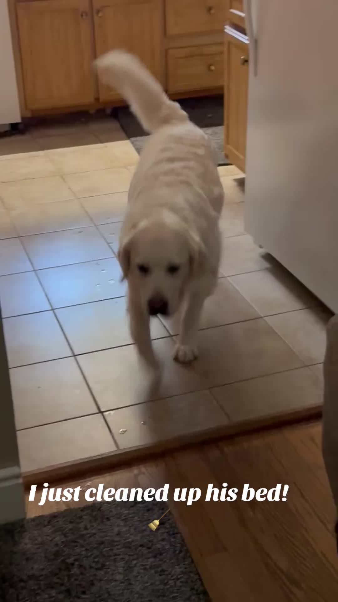 @lifewithduke2025