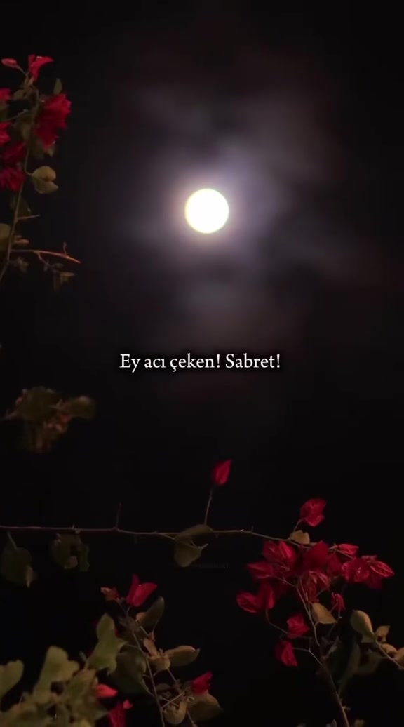 @سليمان🫀زينب